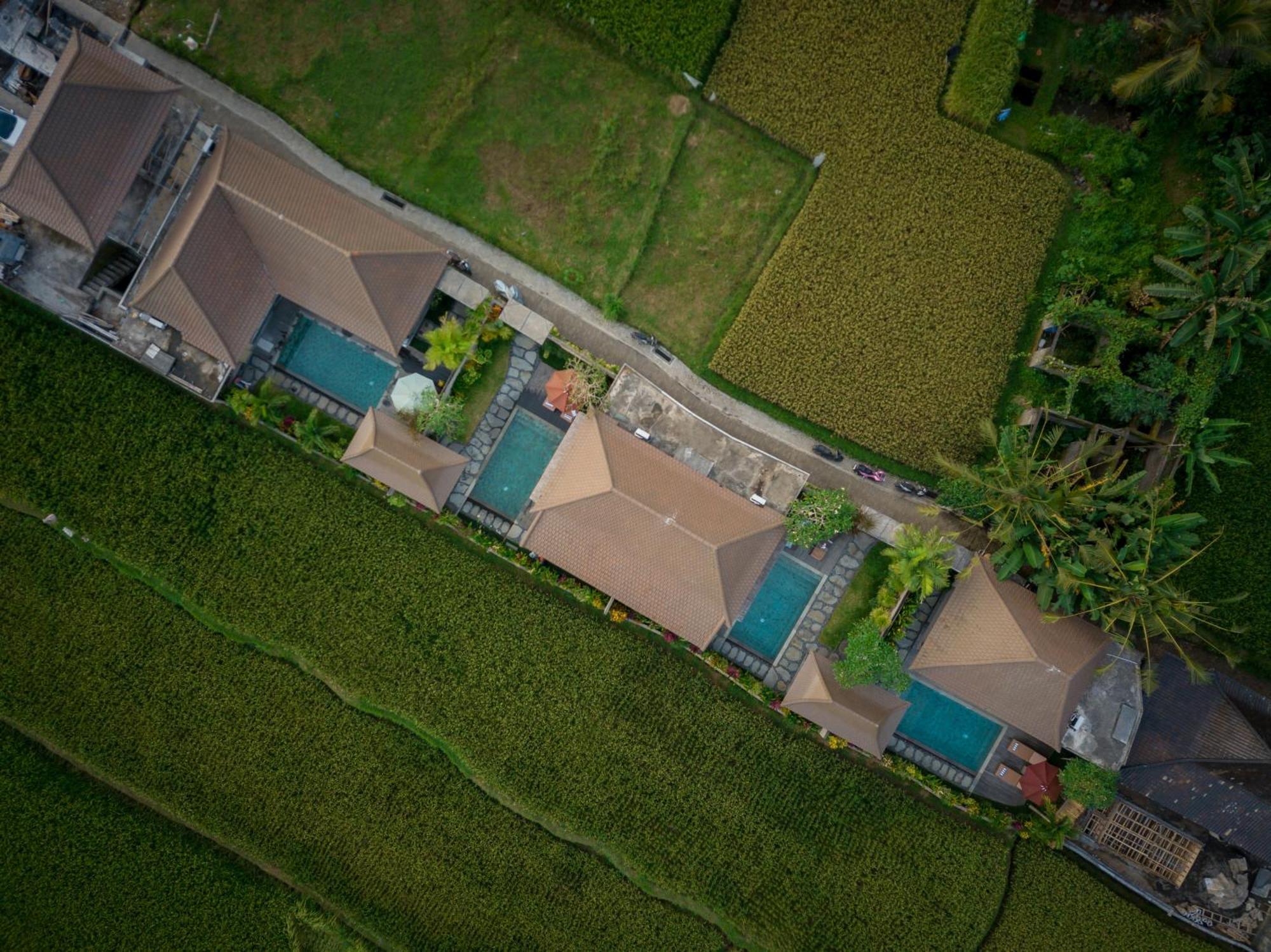 Happy Honeymoon Private Villa Ubud Exteriér fotografie