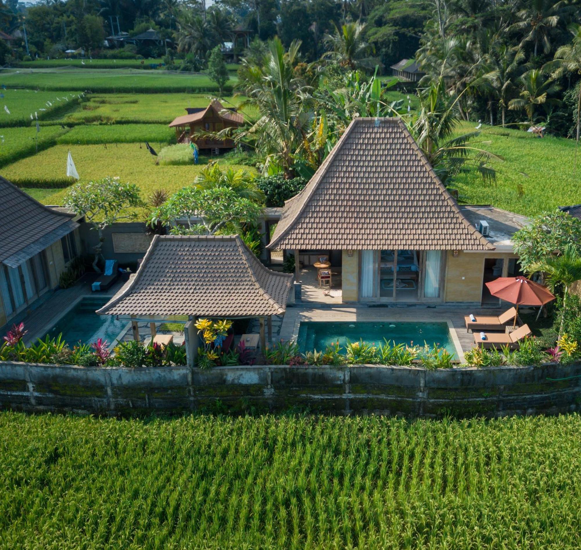 Happy Honeymoon Private Villa Ubud Exteriér fotografie